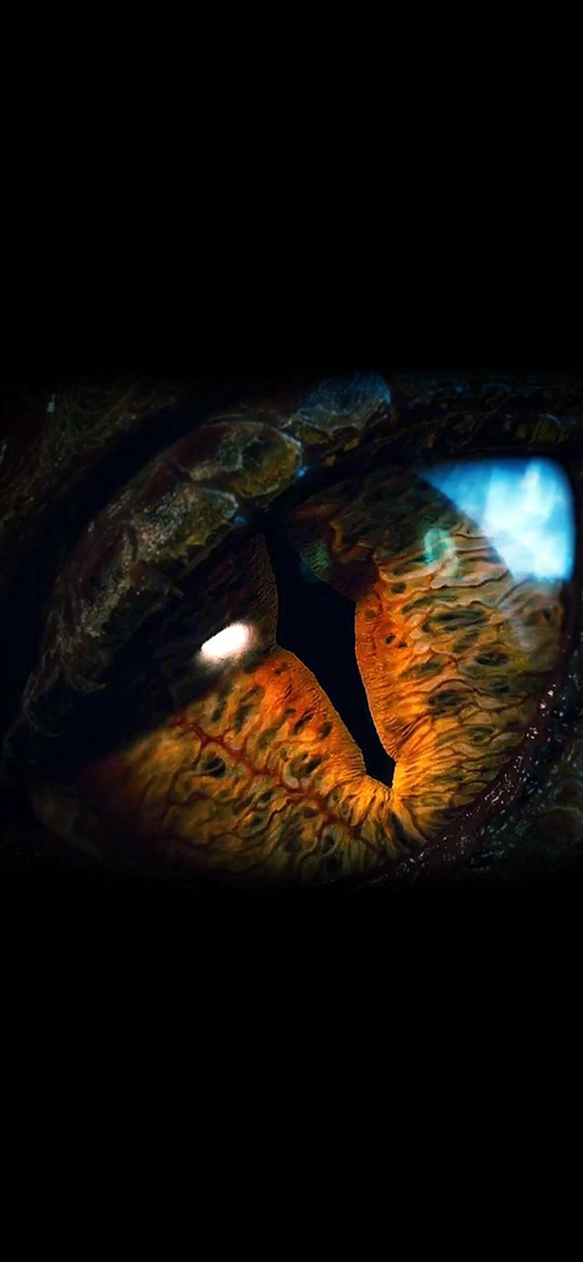 1125x2436 Eye Dragon Film Hobbit The Battle Five Armies Art Dark -  iPhone X Wallpaper