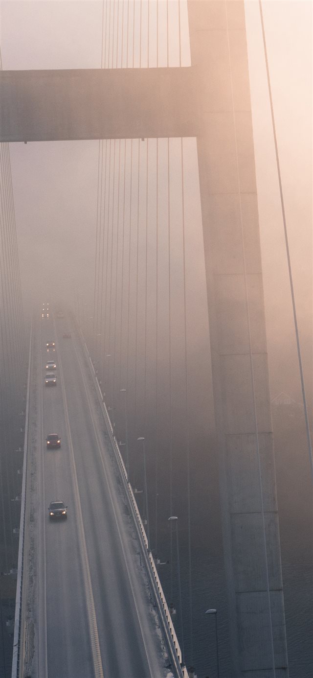 1125x2436 Bridge Fog City Nature - yellow iPhone X Wallpaper