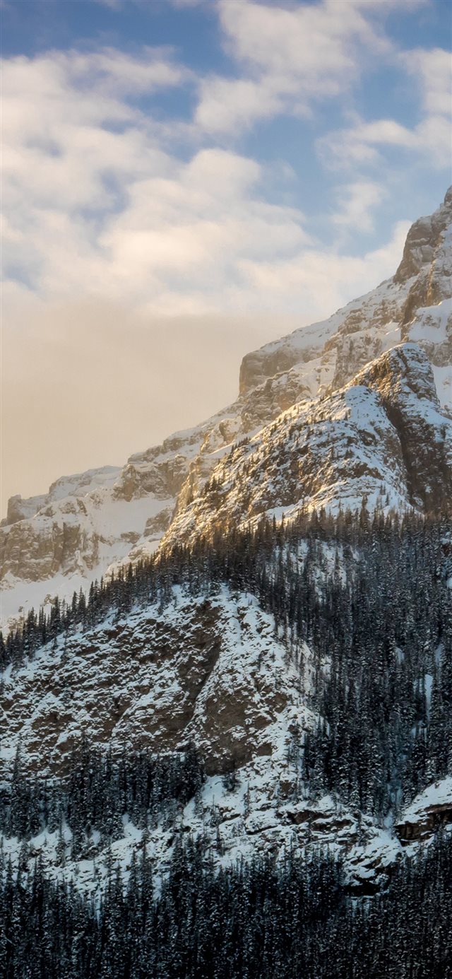 1125x2436 Mountain Snow Winter Cold Nature - snowy iPhone X Wallpaper