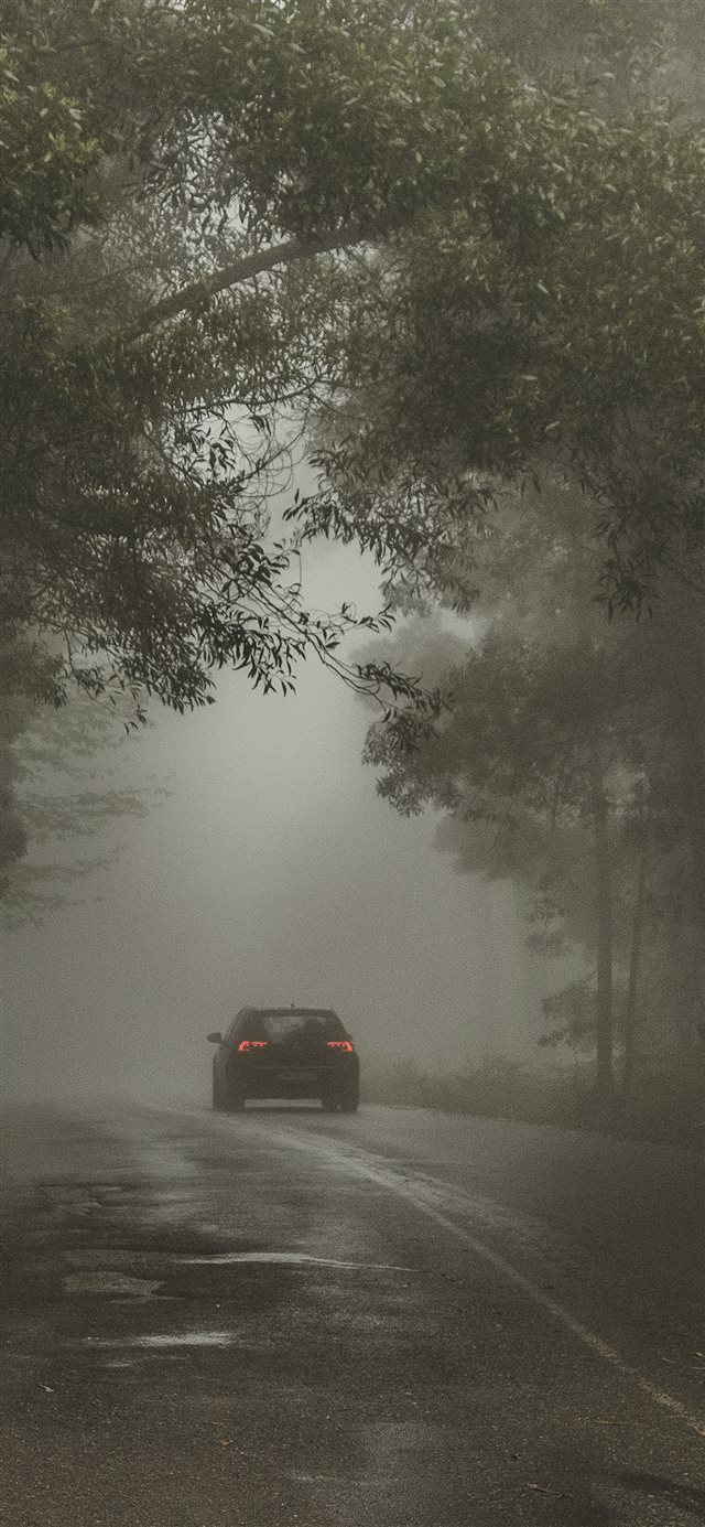 1125x2436 Forest Street Wood Dark Nature Car - foggy iPhone X Wallpaper
