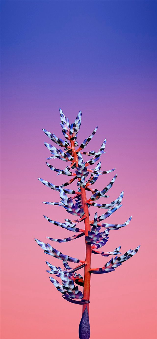 1125x2436 Apple Illustration Art Flower Blue - purple iPhone X Wallpaper