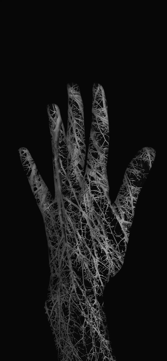 1125x2436 The artistic texture of the hand - artistic iPhone X Wallpaper