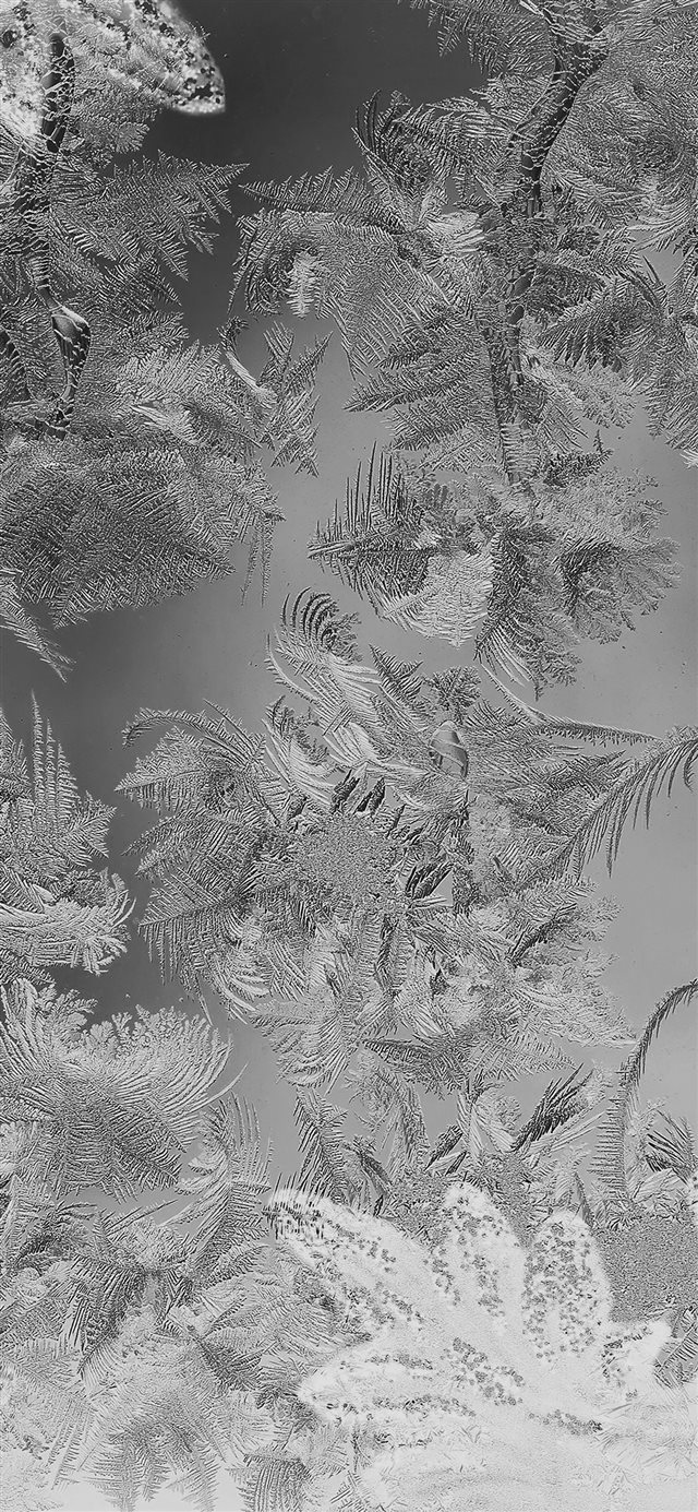 1125x2436 Ice pattern - snow iPhone X Wallpaper