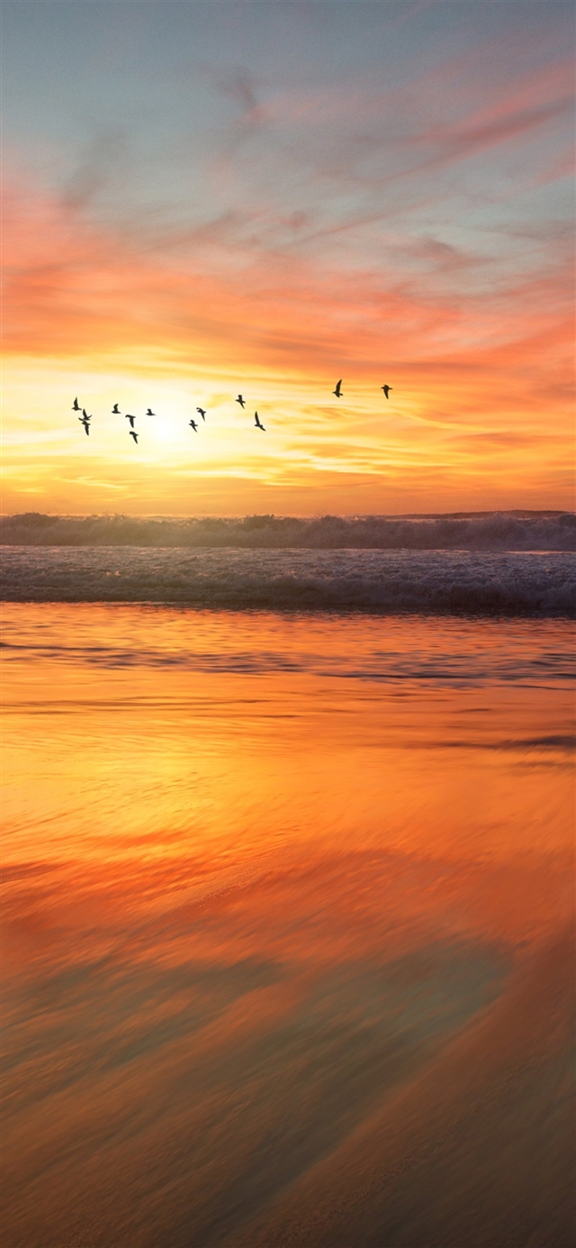 1125x2436 Sunset sea - orange iPhone X Wallpaper