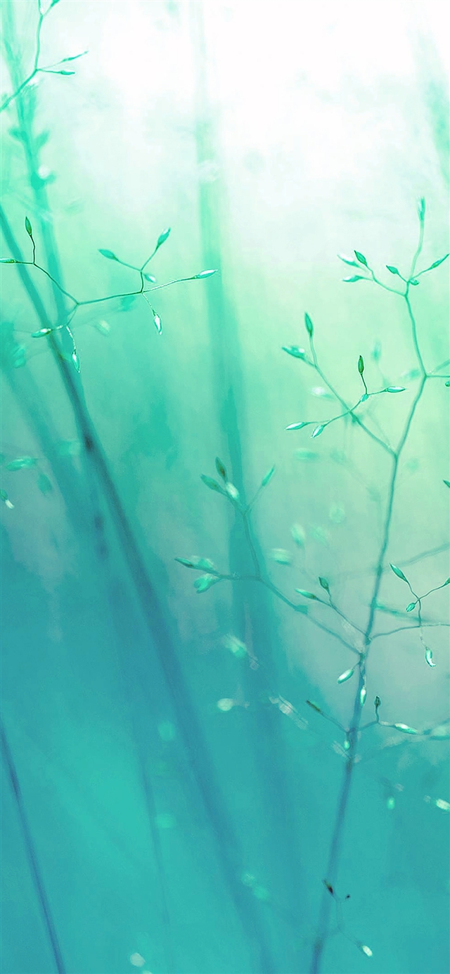 1125x2436 Weed green flower - cyan iPhone X Wallpaper