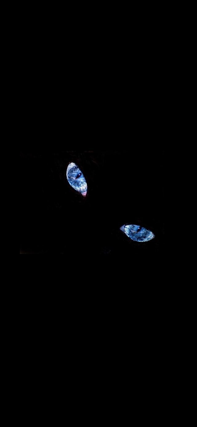 1125x2436 Blue eyed - cyan iPhone X Wallpaper