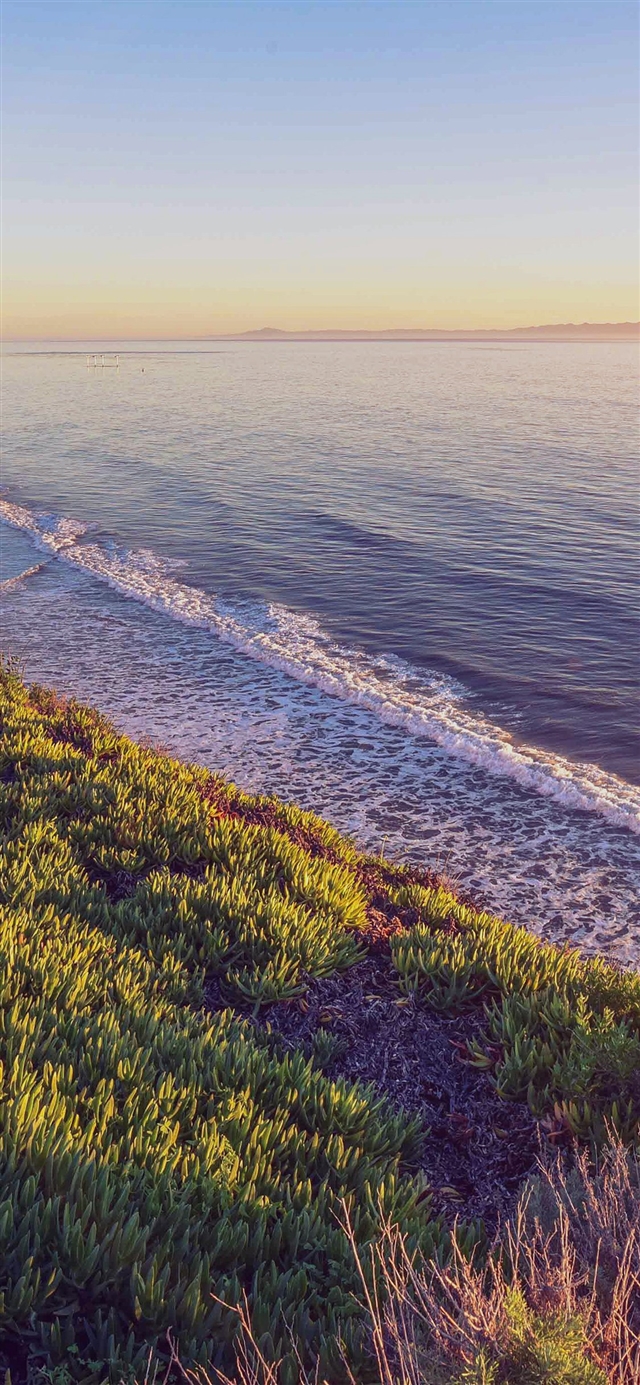 1125x2436 Wood sea ocean - green iPhone X Wallpaper