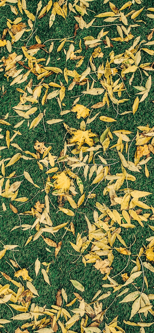 1125x2436 Leaf lawn pattern - yellow iPhone X Wallpaper