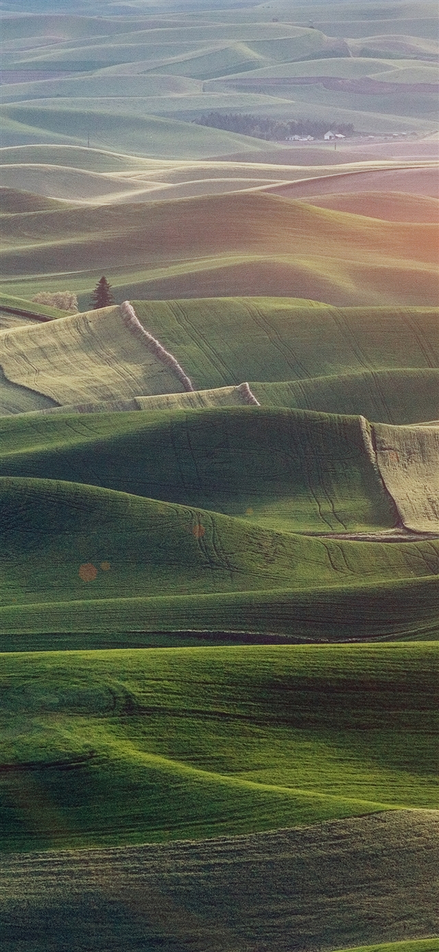 1125x2436 Field nature - flare iPhone X Wallpaper