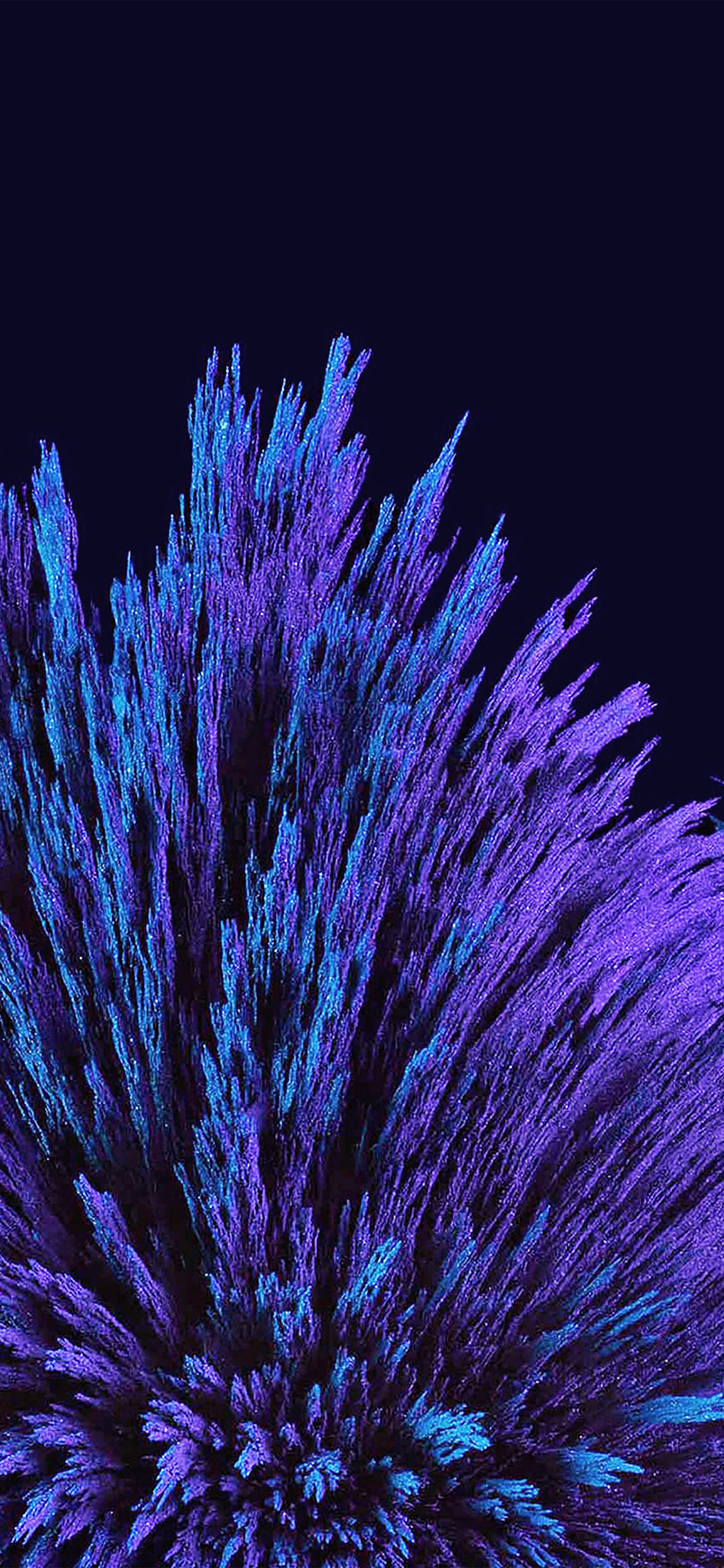 Dark blue flower pattern iPhone X Wallpapers Free Download