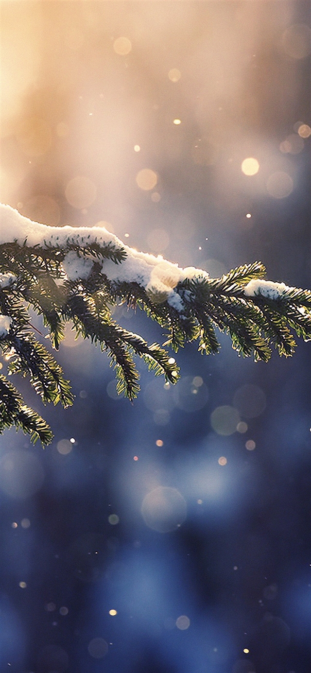 1125x2436 Snowing tree - bokeh iPhone X Wallpaper