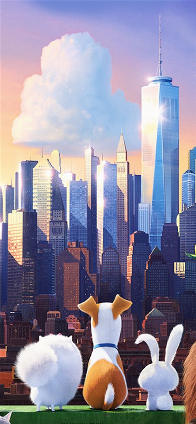1125x2436 Secret life of pets animation - orange iPhone X Wallpaper