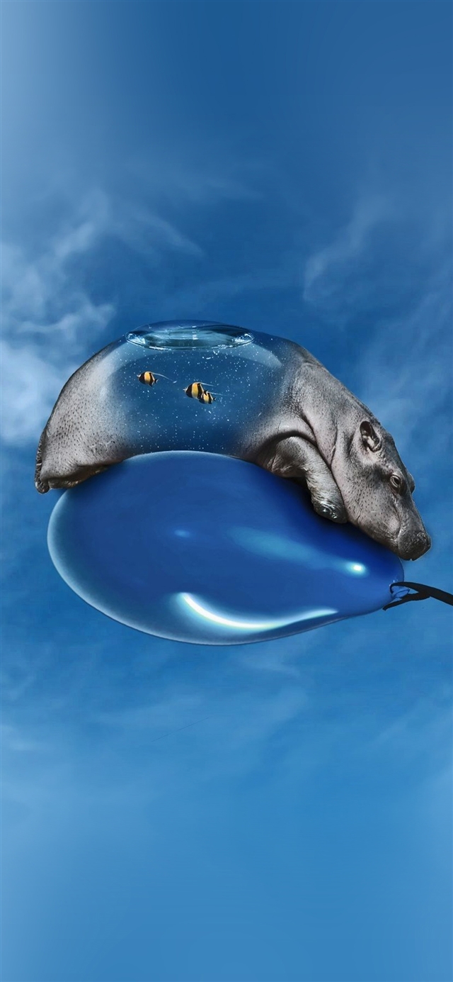 1125x2436 Hippo bored ballon sky - cyan iPhone X Wallpaper
