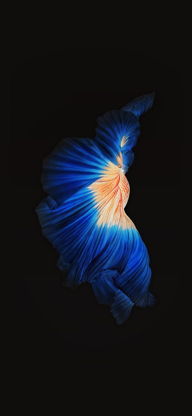 1125x2436 Apple live - cyan iPhone X Wallpaper