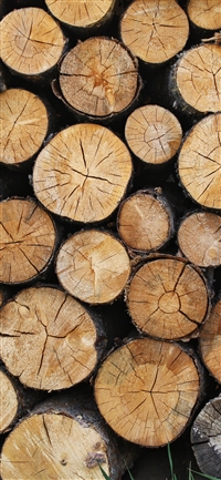 The wood surface wallpaper