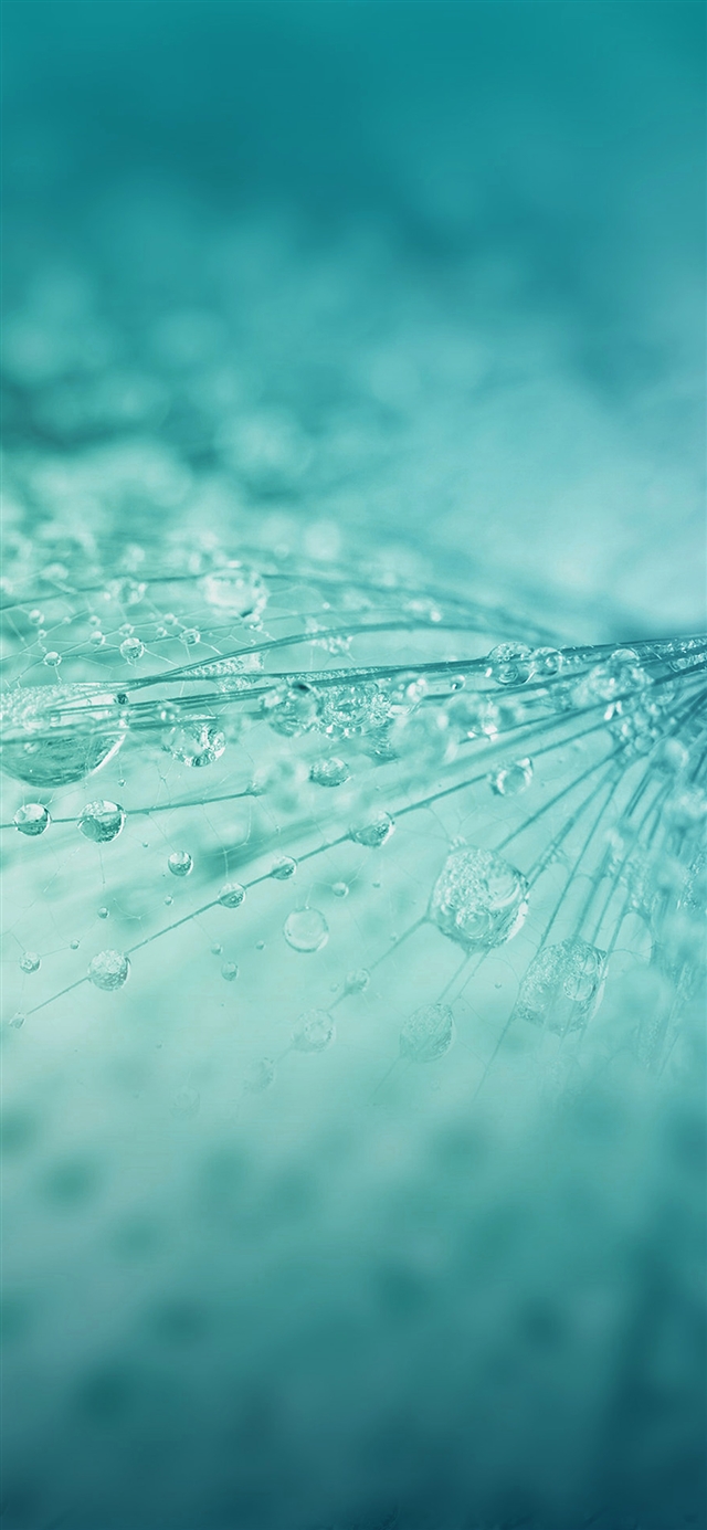 1125x2436 Rain drop flower blue light pattern - cyan iPhone X Wallpaper