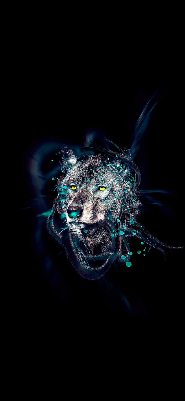 1125x2436 Wolf by ekud illust art - cyan iPhone X Wallpaper