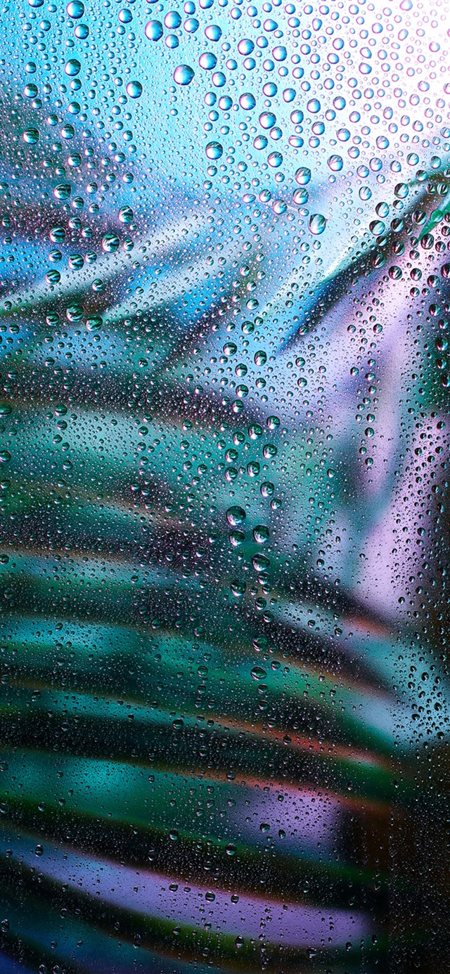 1125x2436 Raindrop exotic plant art illustration -  iPhone X Wallpaper