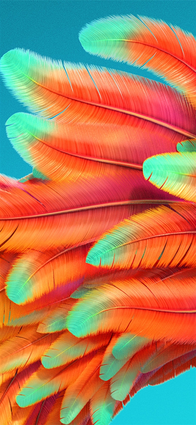 1125x2436 Bird color rainbow red pattern background -  iPhone X Wallpaper