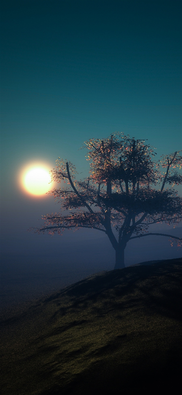 1125x2436 Tree sunset night lights hill - night iPhone X Wallpaper