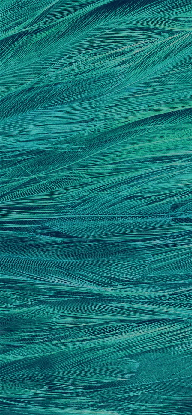 1125x2436 Feather blue bird pattern - cyan iPhone X Wallpaper