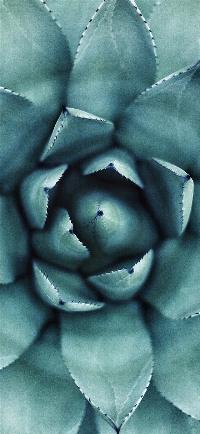 1125x2436 Flower green fruit pattern -  iPhone X Wallpaper