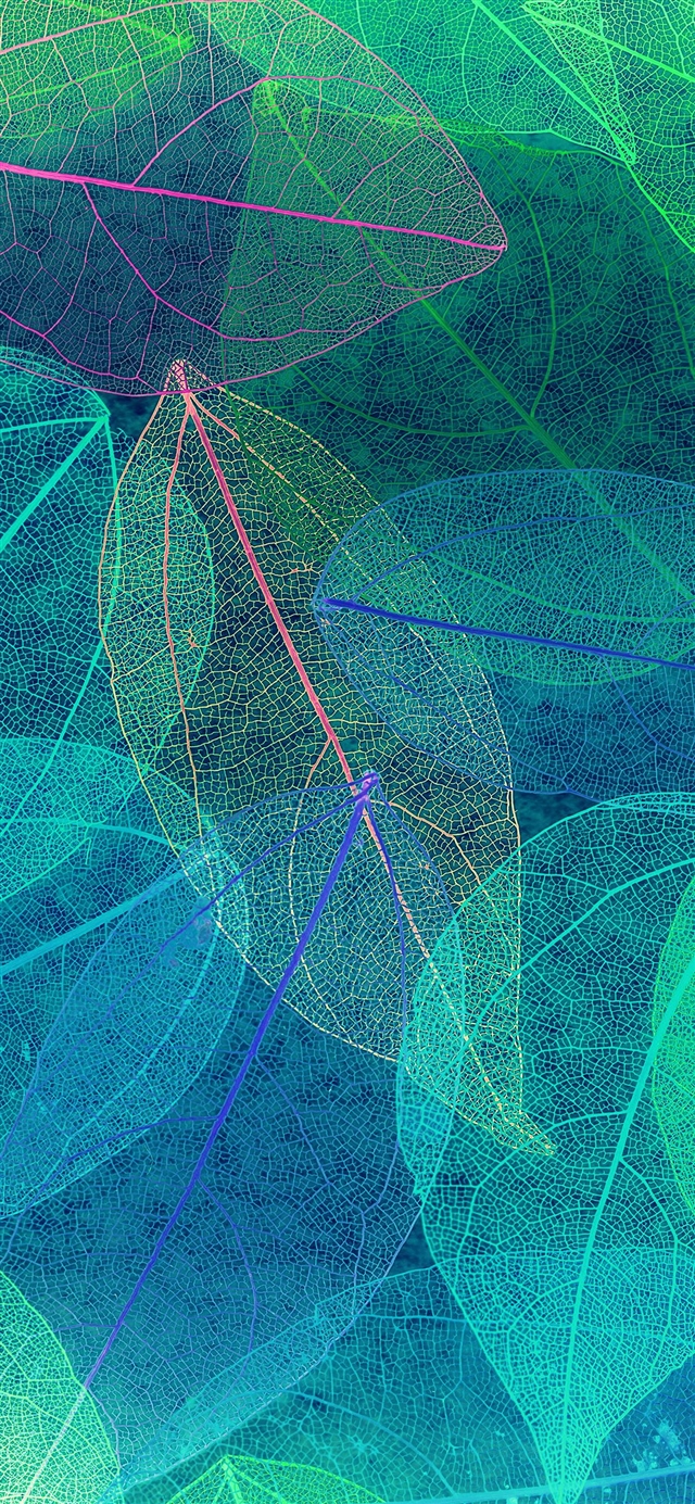 1125x2436 Color blue leaf art fall pattern - fall iPhone X Wallpaper