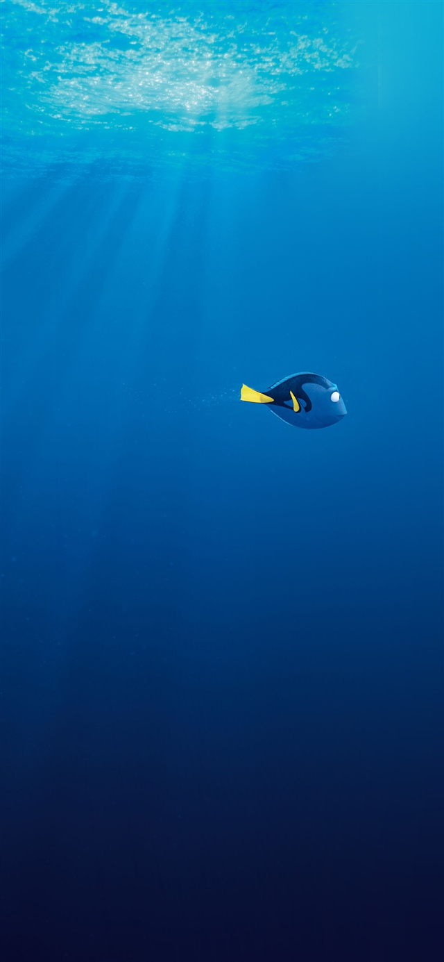 1125x2436 Finding dory disney -  iPhone X Wallpaper
