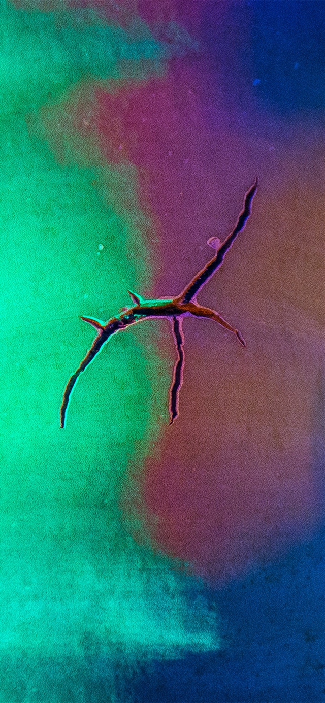 1125x2436 Rainbox crack abstract green pattern background - background iPhone X Wallpaper