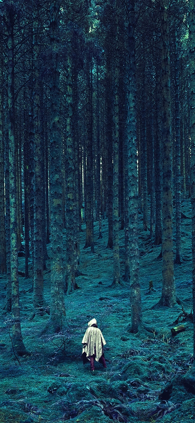1125x2436 Wood forest blue mountain - cyan iPhone X Wallpaper
