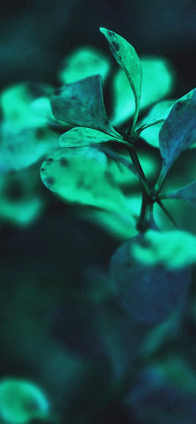1125x2436 Blue flowers - cyan iPhone X Wallpaper