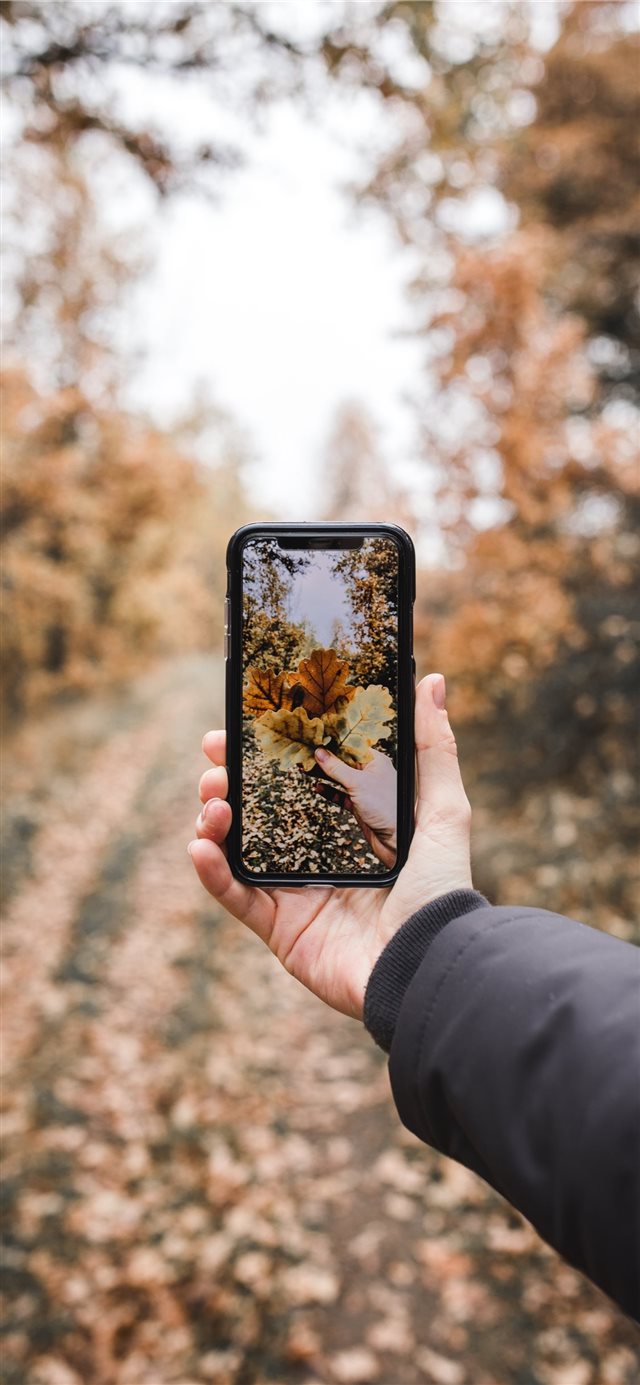 1125x2436 iPhone X Camera is UNREAL - leaves iPhone X Wallpaper