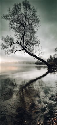 Mysterious sunrise wallpaper