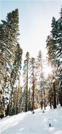 Castle Peak wilderness wallpaper