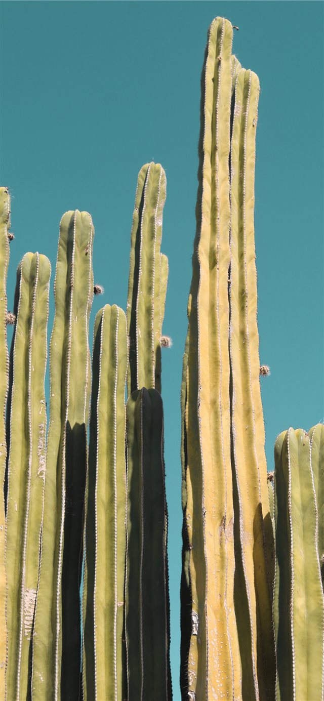1125x2436 lines -  iPhone X Wallpaper