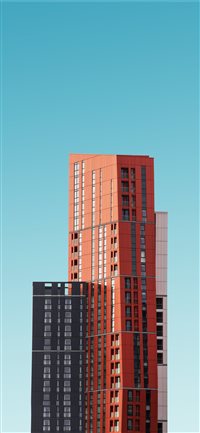 Orange Sunshine wallpaper