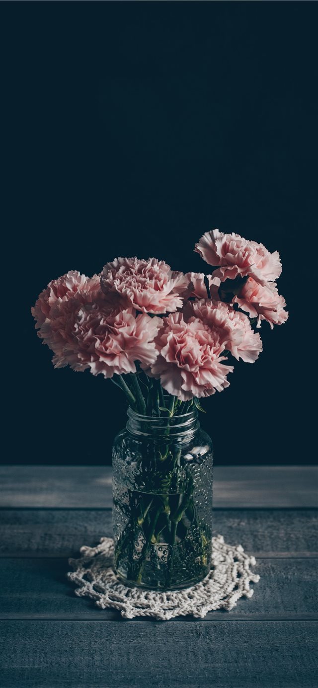 1125x2436 Pink Carnations - minimal iPhone X Wallpaper