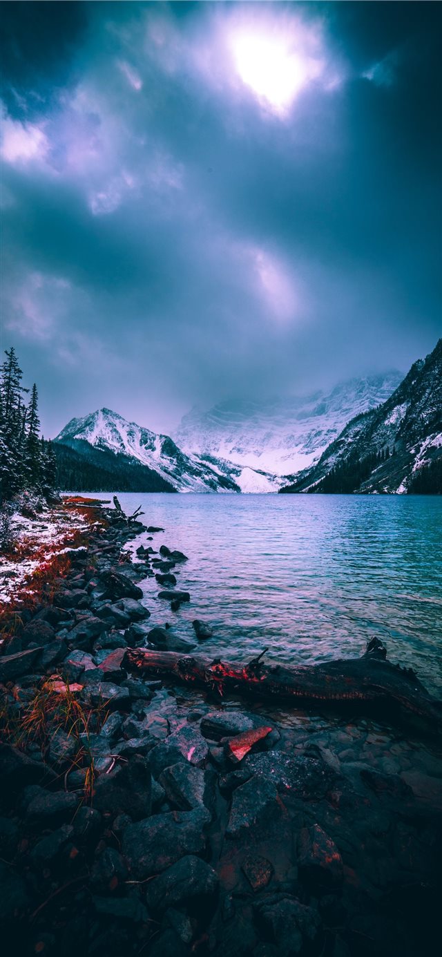 1125x2436 Hidden treasure - snow iPhone X Wallpaper