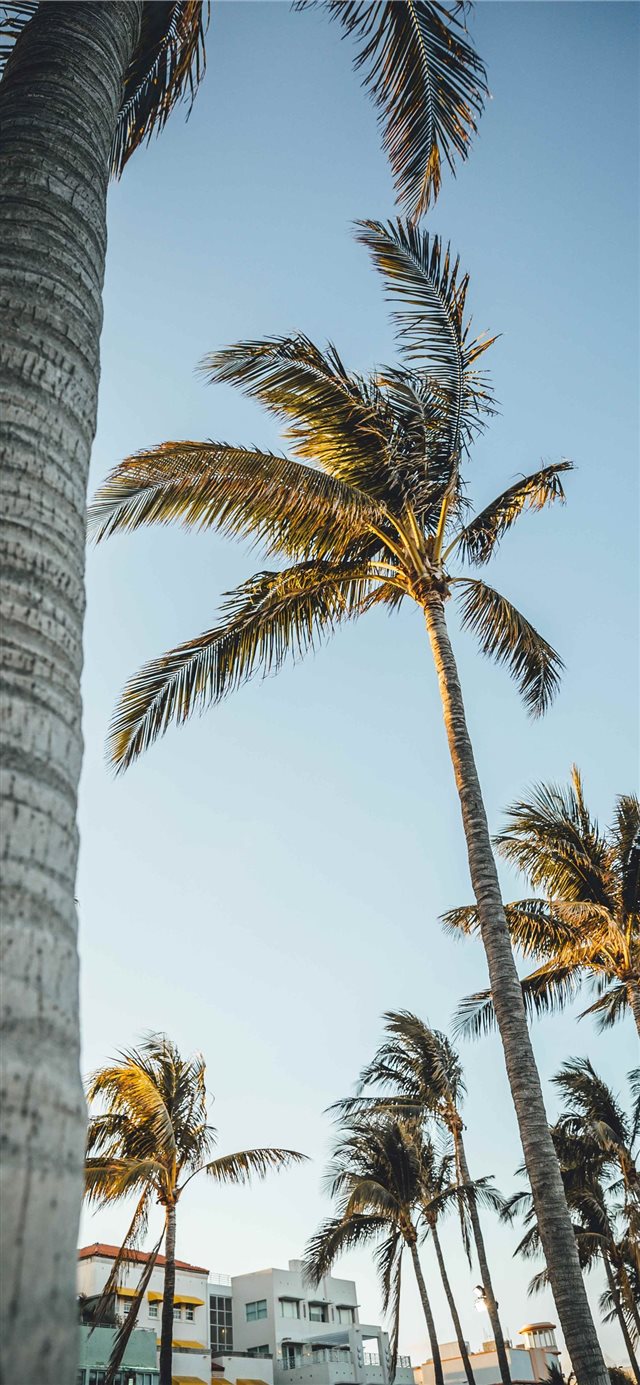 1125x2436 Miami Beach  United States - united states iPhone X Wallpaper