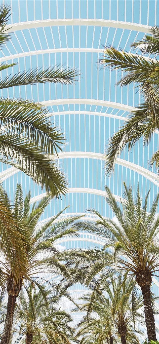 1125x2436 Modern spirit - blue iPhone X Wallpaper