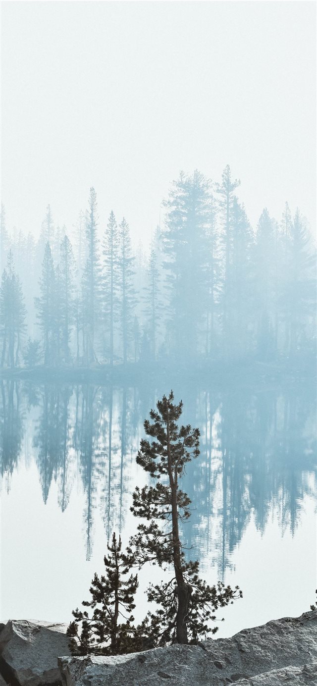 1125x2436 Lady Lake - camping iPhone X Wallpaper