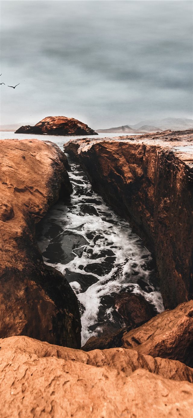 1125x2436 Coleccionando momentos en Paracas - bird iPhone X Wallpaper