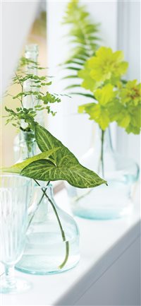 Hand blown glass vases wallpaper