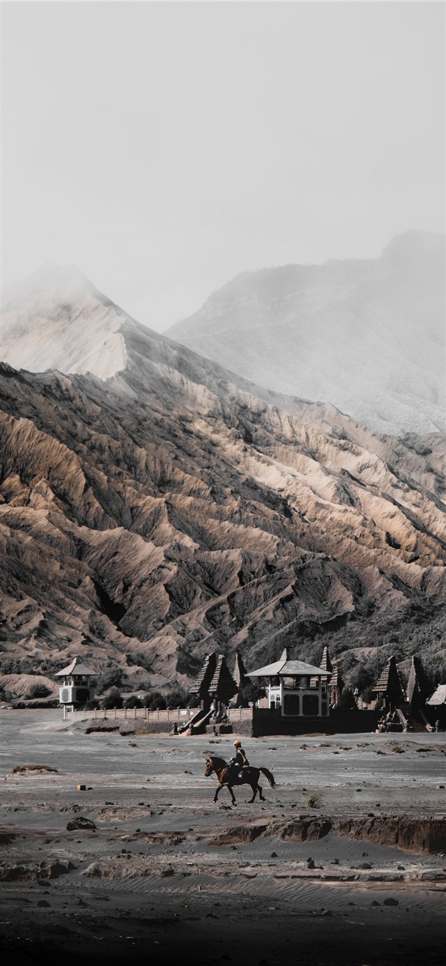 1125x2436 Bromo Temple - horse iPhone X Wallpaper