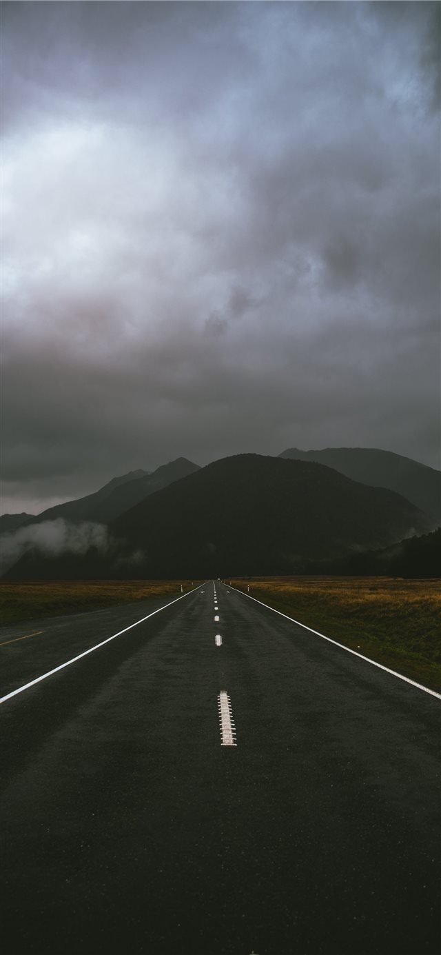 1125x2436 Roadtrip - tree iPhone X Wallpaper
