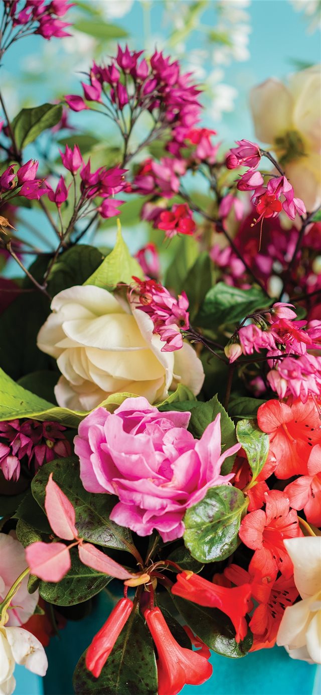 1125x2436 bouquet - petal iPhone X Wallpaper