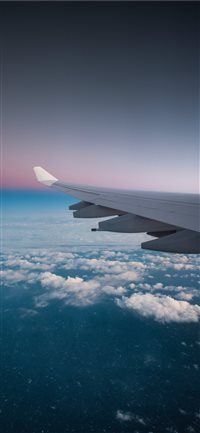 Early bird wallpaper