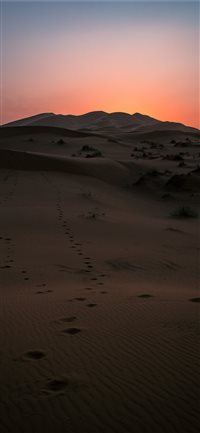 Desert Sunset wallpaper