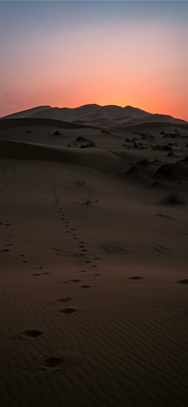 1125x2436 Desert Sunset - explore iPhone X Wallpaper