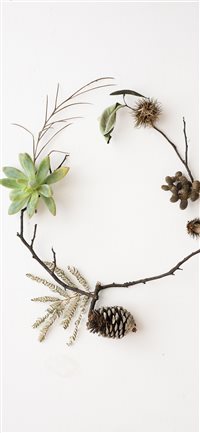 Nature flatlay wallpaper